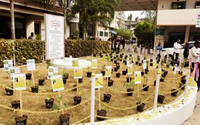 Students set up a library of trees in Latur, Maharashtra