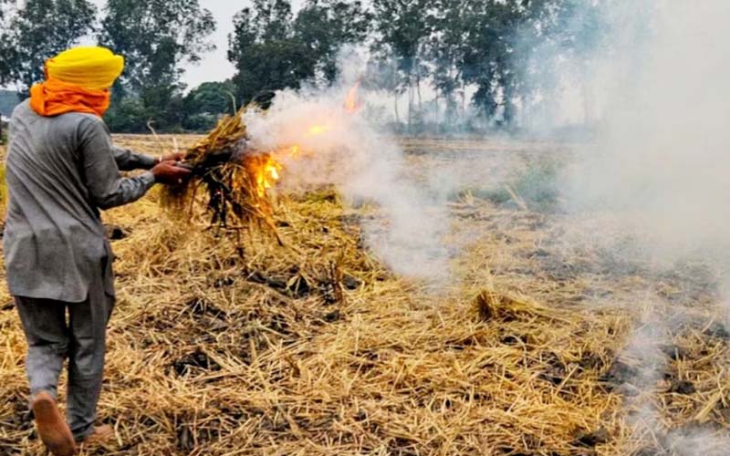 Red alert issued to farmers of Punjab, legal action will be taken if stubble is burned