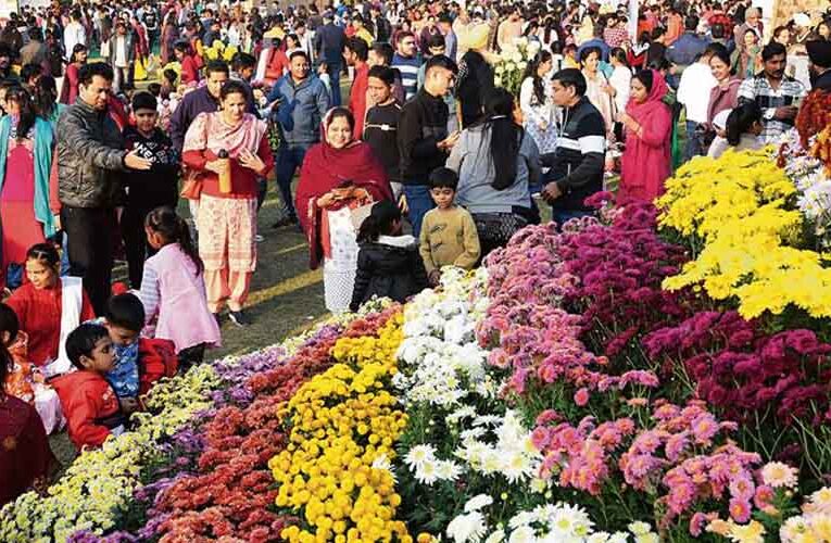 चंडीगढ़ में तीन दिवसीय गुलदाउदी शो का हुआ समापन, मेयर ने किए पुरस्कार वितरित