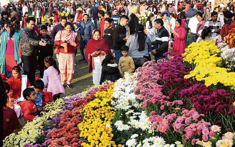 The three-day chrysanthemum show concluded in Chandigarh, Mayor distributed prizes