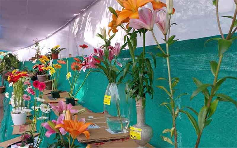 A two-day festival was organized in Bengal to promote orchid cultivation