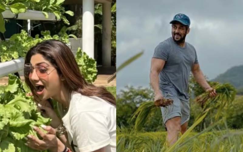 National Farmers Day 2023: Along with cinema, many Bollywood celebrities in the country also love agriculture