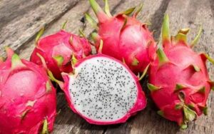 In view of the increasing demand for dragon fruit, the cultivation of dragon fruit started in Dehradun