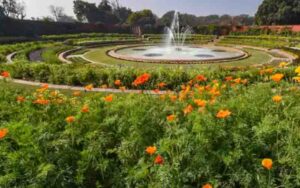 Twenty lakh colorful plants will be seen in Lutyens Delhi this spring