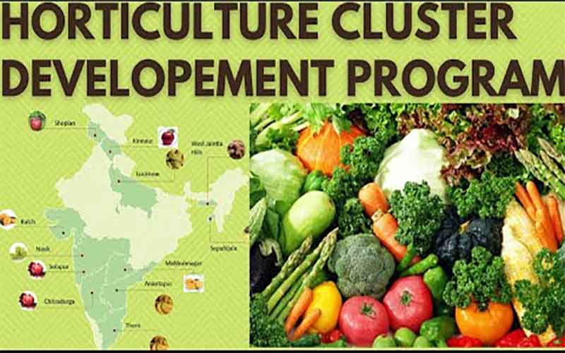 A horticulture cluster will be developed to empower farmers in Purnia, Bihar