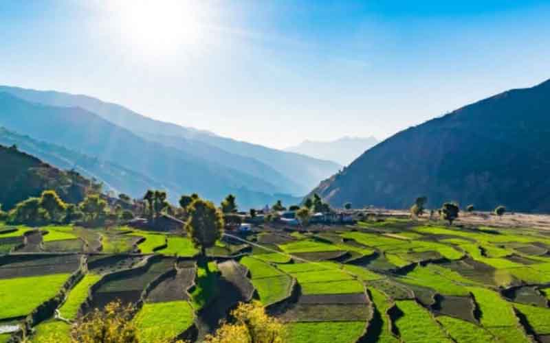 Outsiders banned from buying land for farming in Uttarakhand