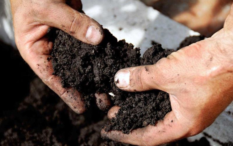 Under the Soil Health Card Scheme, any Indian farmer can get the soil tested.