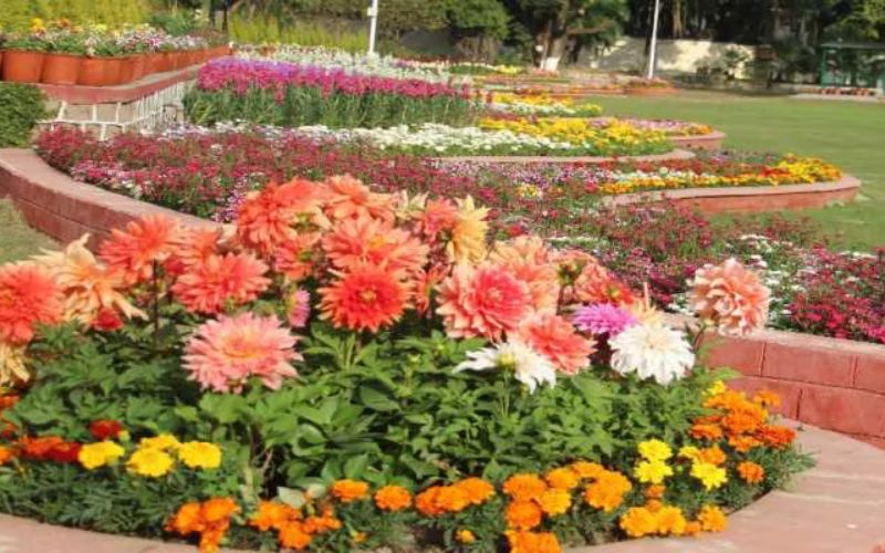 The flower festival will be organized under the aegis of Brihanmumbai Municipal Corporation and Tree Authority.