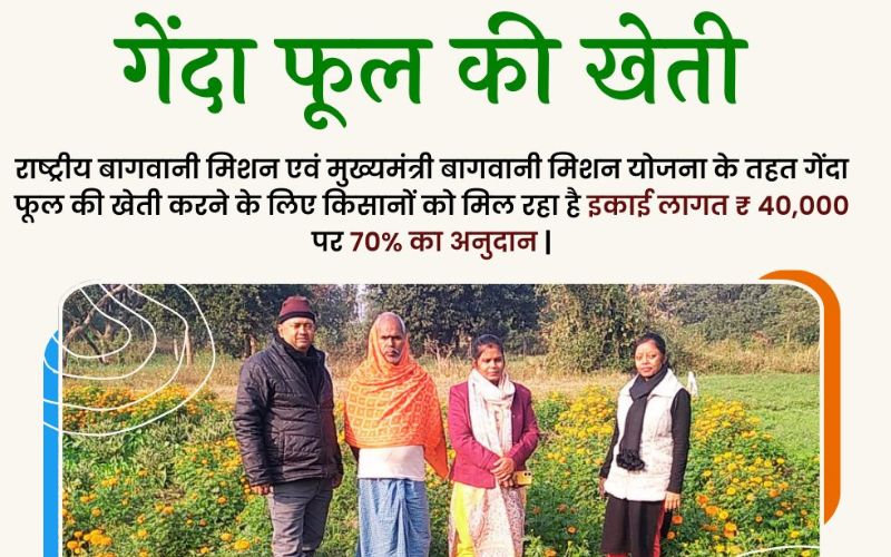 Bihar government is making continuous efforts to increase the income of farmers. Bihar government is providing up to 70 percent subsidy to the farmers of the state for cultivating marigold flowers