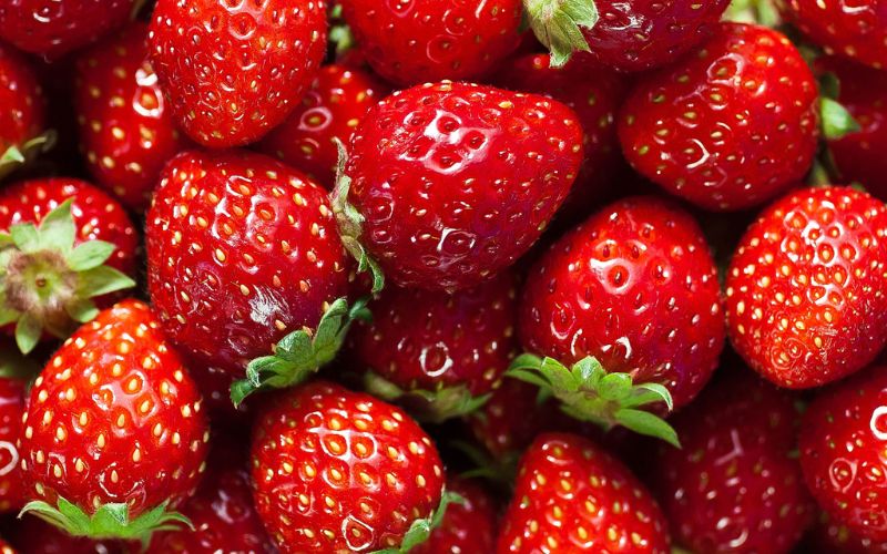 Farmers are cultivating strawberries on a large scale in Barabanki district of Uttar Pradesh. Through this farming, farmers are earning profits worth lakhs of rupees every year at low cost.