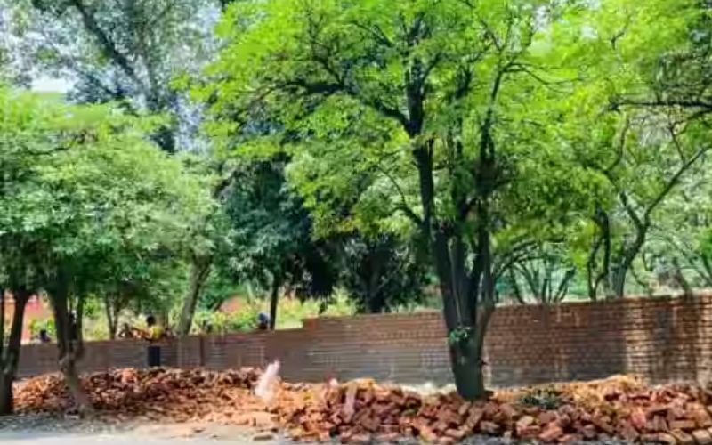 In the National Capital Region, any agencies are required to obtain permission from forest officials to carry out civil work within two meters of any tree.