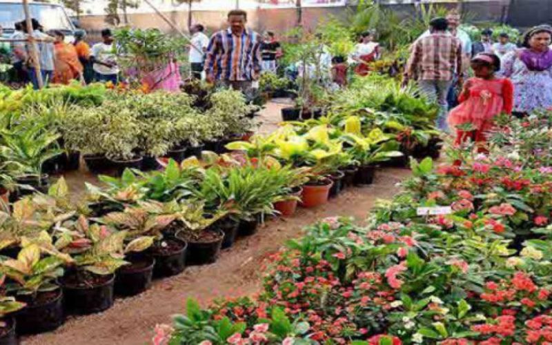 15th nursery fair starts from today