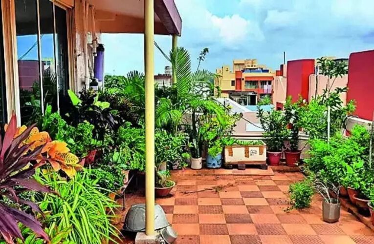 Central Horticulture Experiment Station to Establish 100 Rooftop Gardens in Bhubaneswar and Cuttack