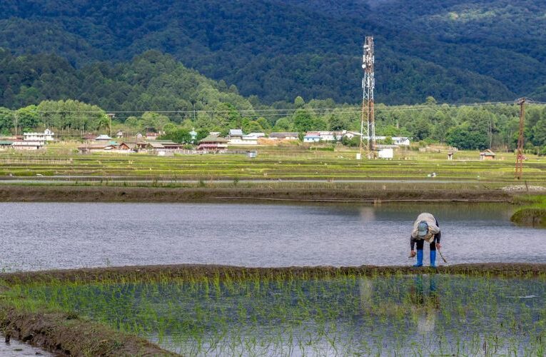 Farming Faces Climate Stress in Jammu and Kashmir, Agriculture Struggles Amid Changing Climate