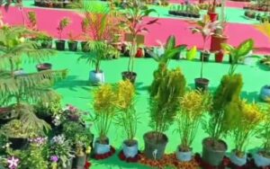 Horticulture festival is starting from 23rd February in Delhi which will continue till 25th February.