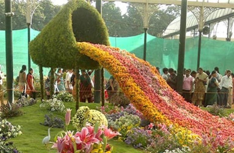 Garden Delights: Annual Flower Shows Bring Spring to Delhi-NCR