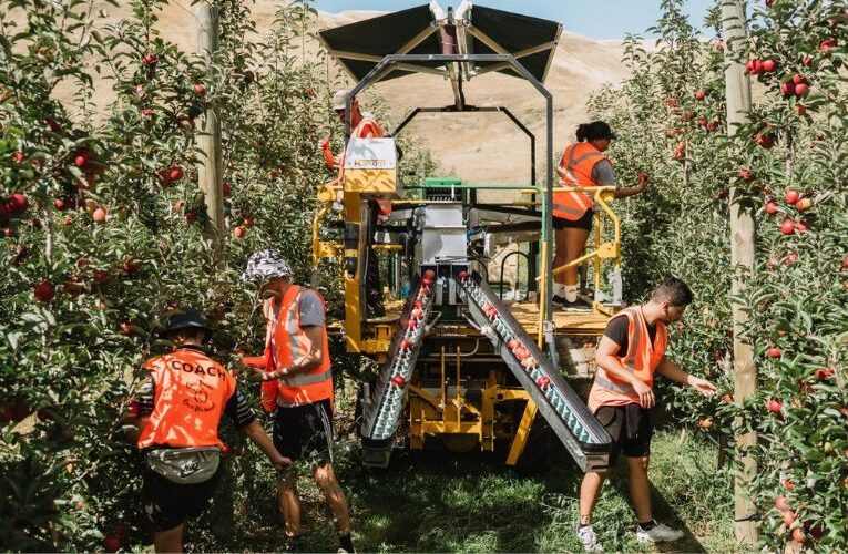 Cultivating Connections: Horticulture New Zealand’s Roadshow for Growers