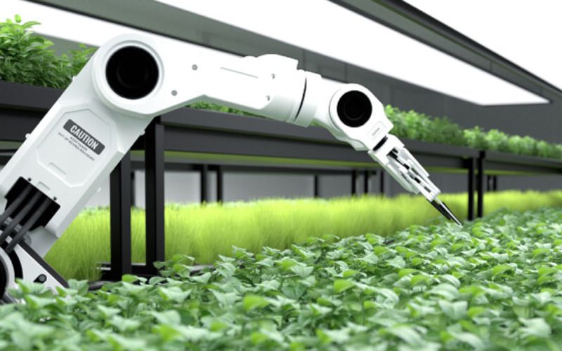 The help of Artificial Intelligence is being taken in agricultural work.