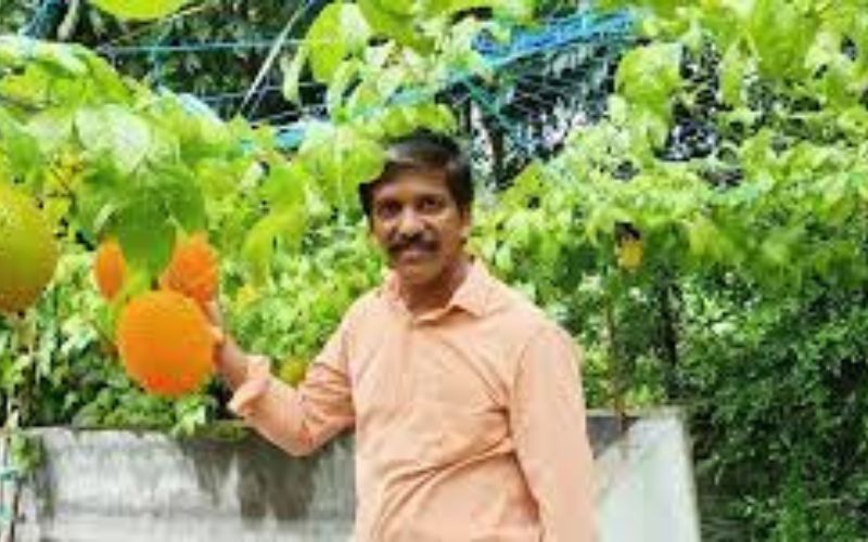 Jojo Punakkal has grown Gac fruit pots on the terrace of his house