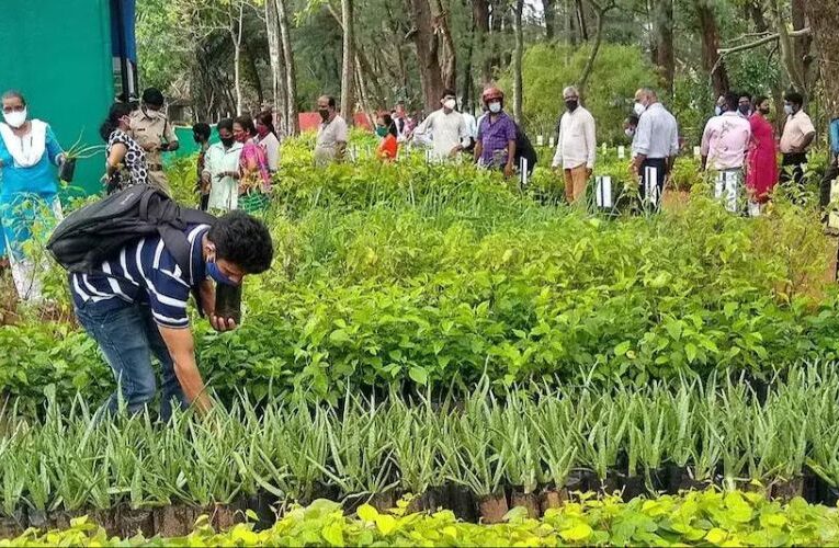 औषधीय पेड़–पौधे की जांच के लिए एक्शन मोड में राजस्थान सरकार