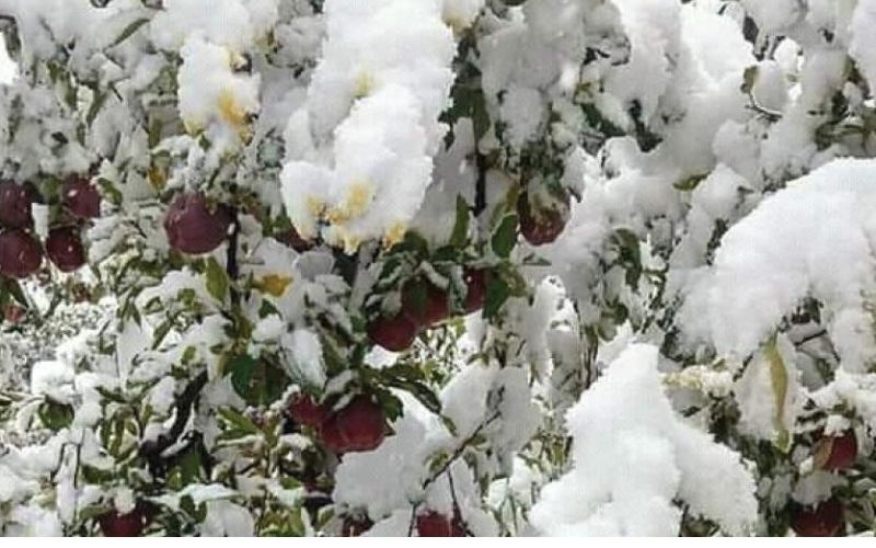 There has been continuous snowfall in Jammu and Kashmir for the last few days. There is a white sheet of snow everywhere.