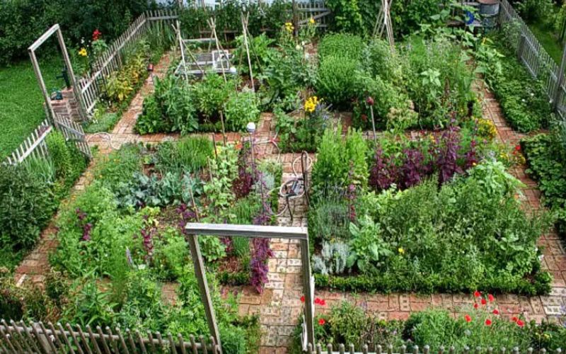 Everyone likes to have a lush green garden around the house