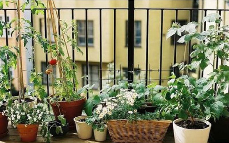 Gardening can be done easily on the terrace.