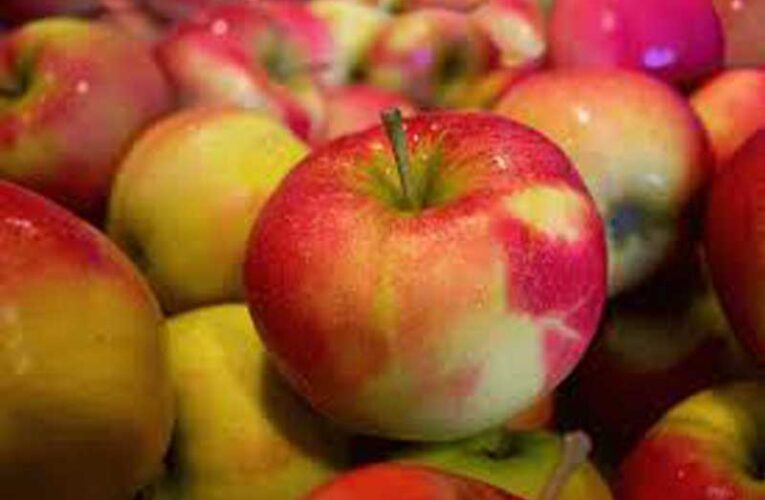 International Eat an Apple Day set to celebrate on September 21