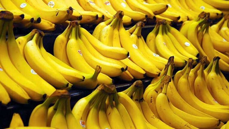 G9 variety bananas bring massive profits to Saran farmers