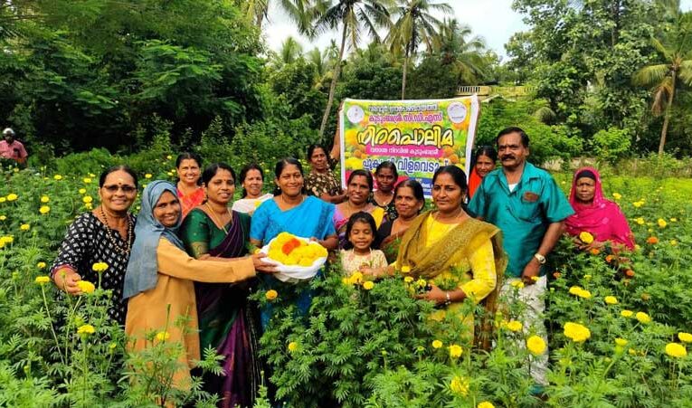 Kudumbashree surpasses target, grows flowers on 1,253 acres for Onam Market