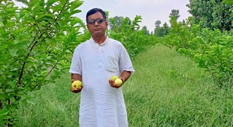 Management graduate earns fame in Thai variety lemon farming