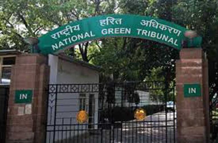 NGT asks DPCC to curb whistle noise pollution in East Delhi