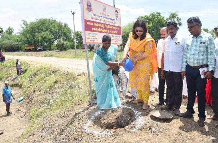 Horticulture Dept to plant 25,000 palm seeds in Tamil Nadu’s Perambalur