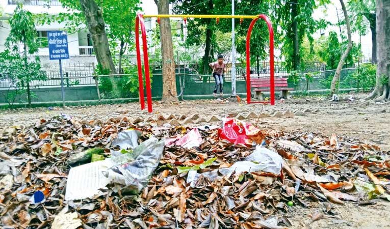 RWAs face financial crisis as MCD delays payments for park maintenance