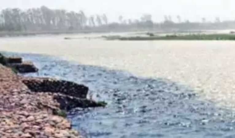 Punjab identifies 1,223 water pollution sources