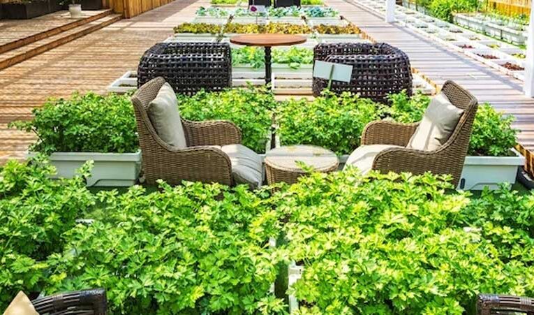 Bihar govt promotes rooftop farming, allocating 75% subsidy