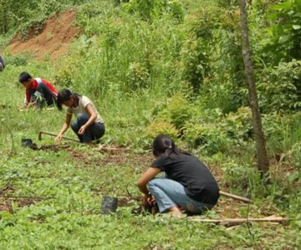 SPENBIO offers free saplings during ‘Pitra Paksh’ for ancestral tribute