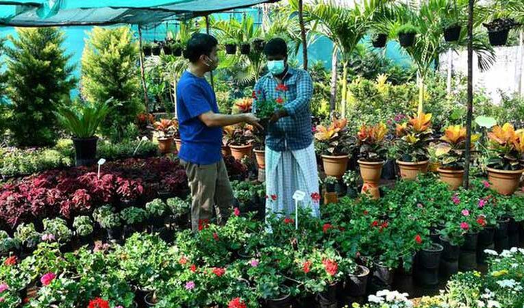 Centre launches digital platform to boost nurseries, horticulture products