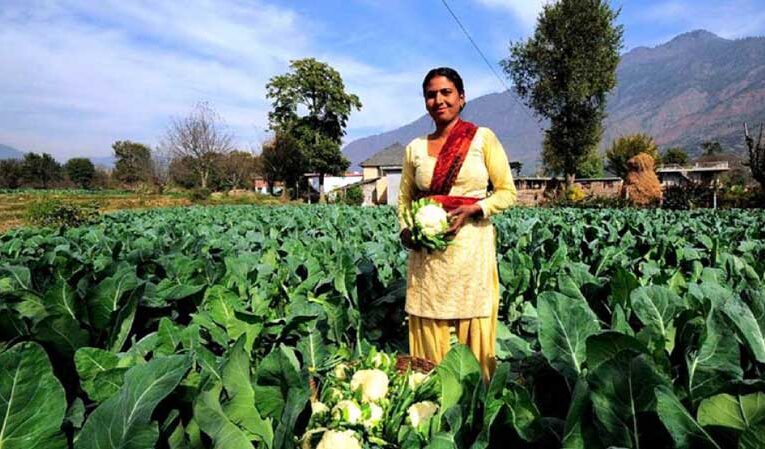 UP government promotes vegetable farming in Chandauli