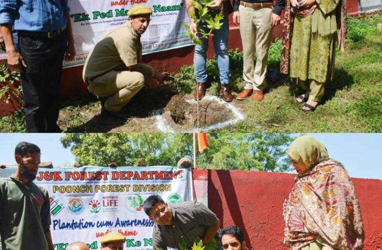 Eco-friendly election campaign starts through ‘Ek Ped Maa Ke Naam’ in J&K