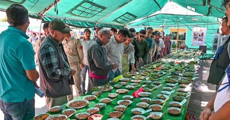 Kargil horticulture exhibition displays 377 fruit varieties