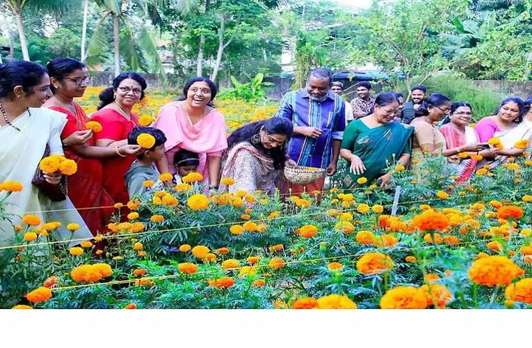 Kerala minister’s home blooms with 3,000 marigold plants