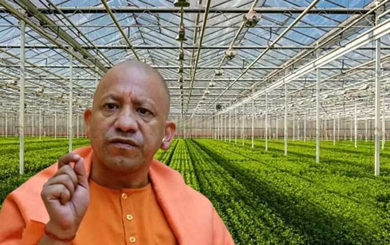 UP govt to set up advanced nurseries to boost fruit and vegetable production