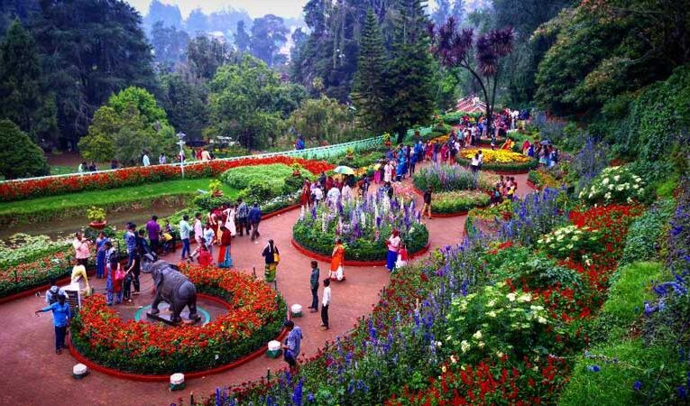 Tourists flock to Ooty to enjoy vibrant flower show