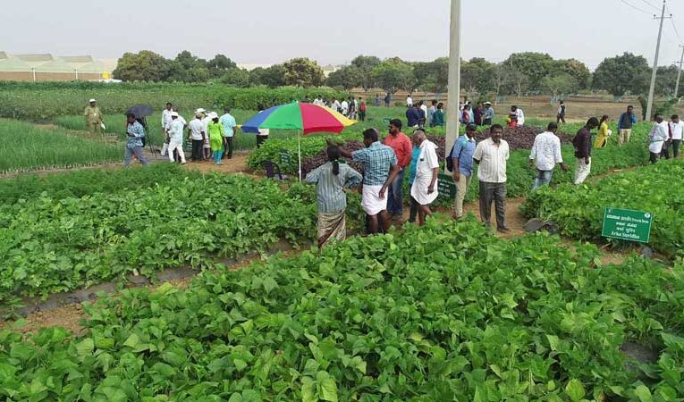 ICAR to organize nutrient management event for horticulture crops