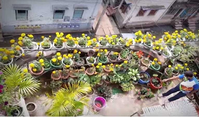 Bihar launches ‘Gamla Yojana’ to boost roof top gardening