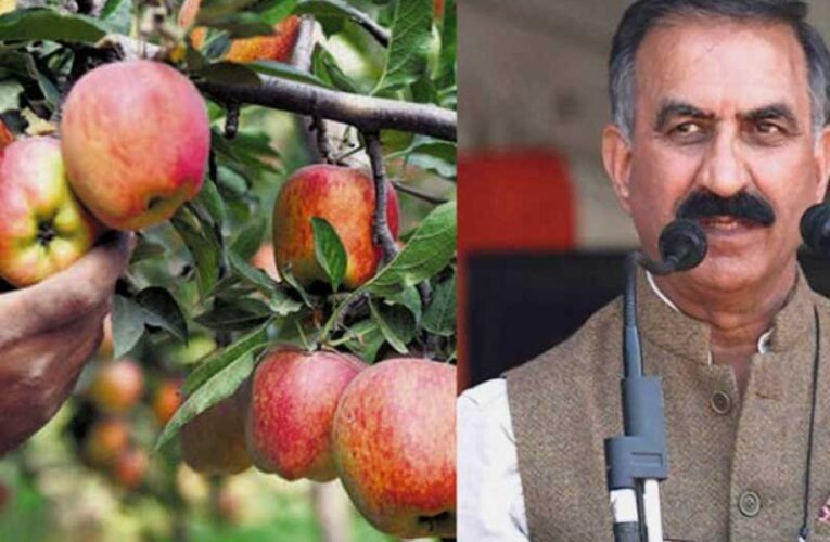 Himachal govt to push horticulture sector to deliver six lakh apple saplings