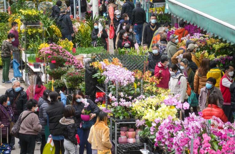 Merchants slam on revamp of Hong Kong flower market