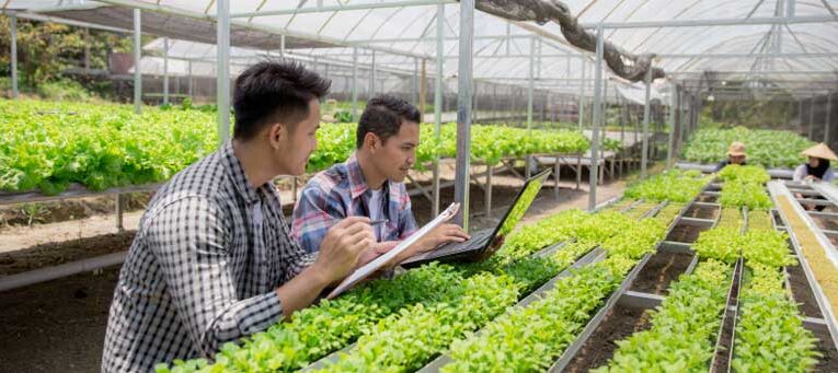 Over 500 horticulture employees at risk of losing jobs