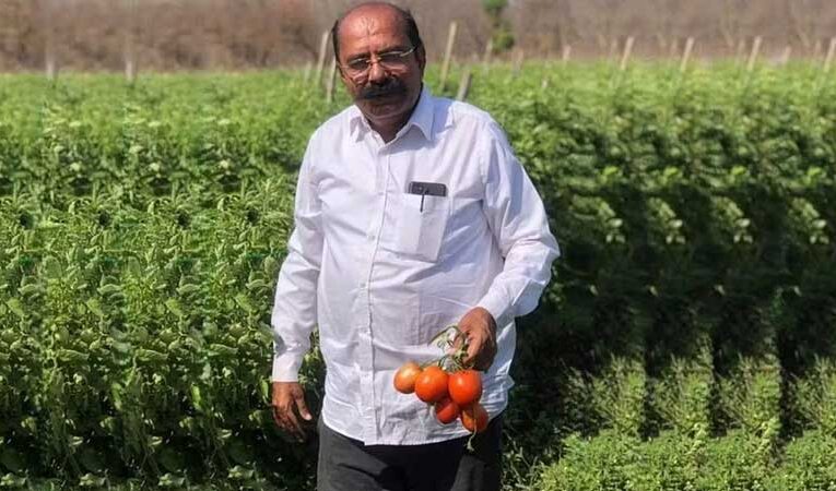 Innovative farming in horticulture brings success to Madhusudan